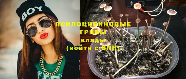 мескалин Арсеньев