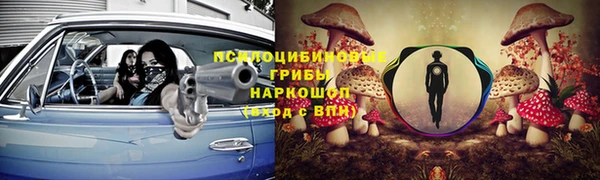 дурь Алексин