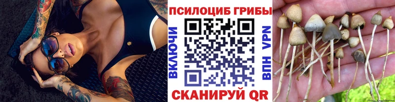 цены   Солигалич  Галлюциногенные грибы MAGIC MUSHROOMS 
