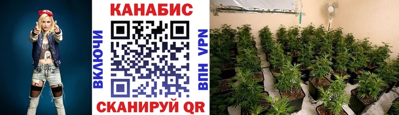 Бошки марихуана Ganja blacksprut рабочий сайт shop наркотические препараты Солигалич